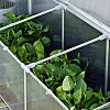 Cold Frame Greenhouse - 6 ft Year-round Greenhouse Garden Protection